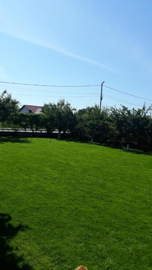 Vila Alexa Costinești Εξωτερικό φωτογραφία