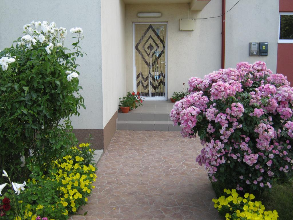Vila Alexa Costinești Εξωτερικό φωτογραφία